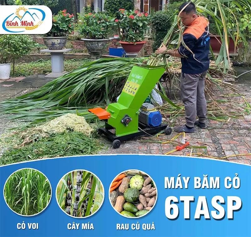 may-bam-co-6tasp-binh-minh_result222