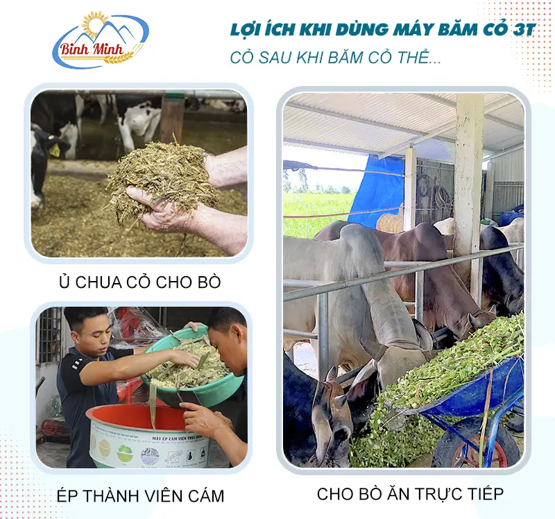 lọi-ich-may-bam-co_result222